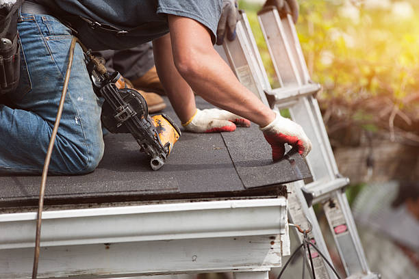 Best Metal Roofing Contractor  in Sesser, IL