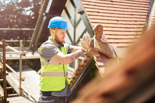 Best Flat Roof Repair Services  in Sesser, IL