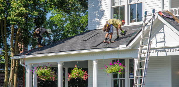Best Roof Maintenance Services  in Sesser, IL