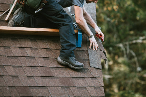 Gutter Installation and Roofing in Sesser, IL