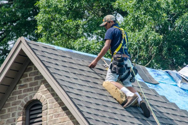 Best Flat Roof Repair Services  in Sesser, IL